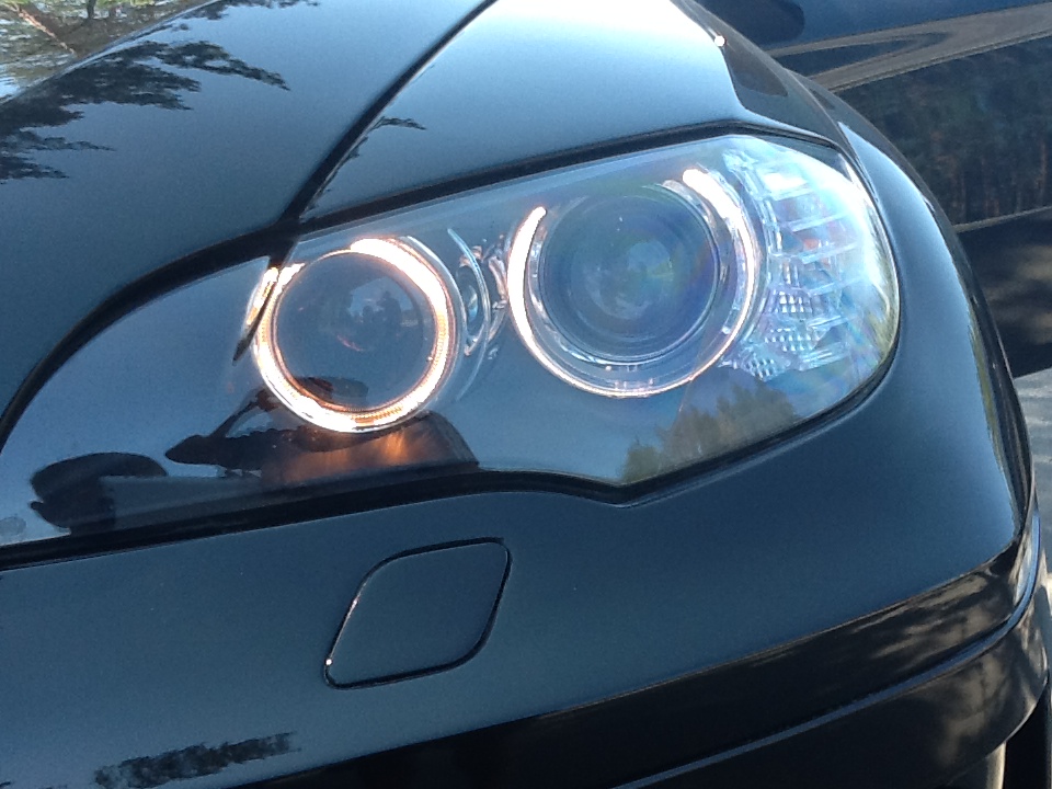 hamann